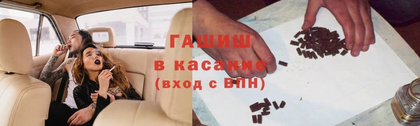 стафф Гусев