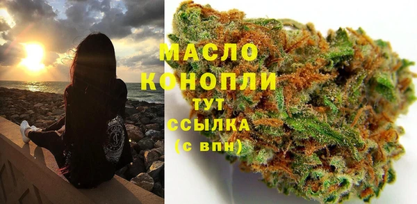 стафф Гусев