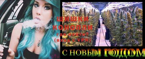 МДПВ Гусь-Хрустальный