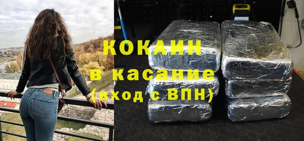 стафф Гусев