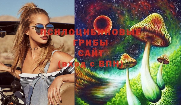 МДПВ Гусь-Хрустальный