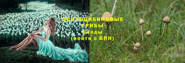 МДПВ Гусь-Хрустальный