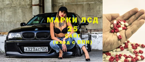 стафф Гусев
