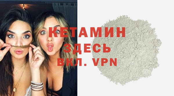 стафф Гусев