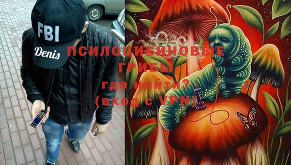 стафф Гусев