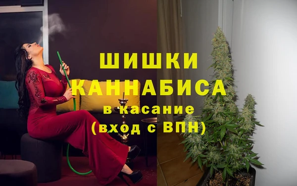 стафф Гусев