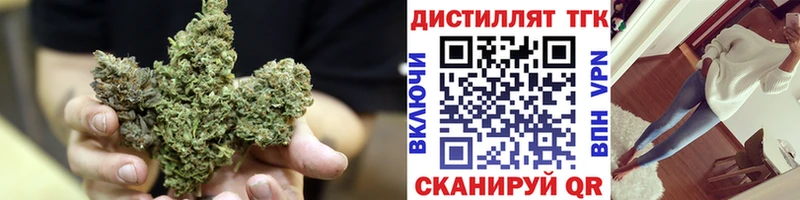 Купить где  Судогда  ТГК концентрат 